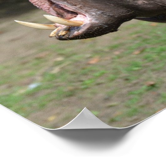 Produkt anpassen poster (Ecke)