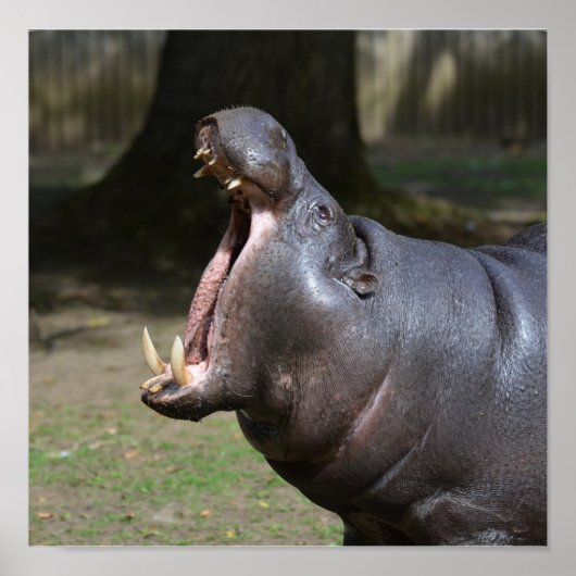 Produkt anpassen poster (Vorne)