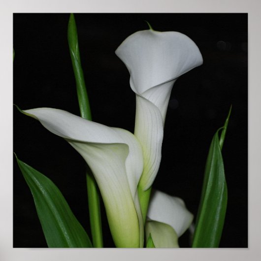 Produkt anpassen poster (Vorne)