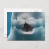 Produkt anpassen postkarte (Vorne/Hinten)