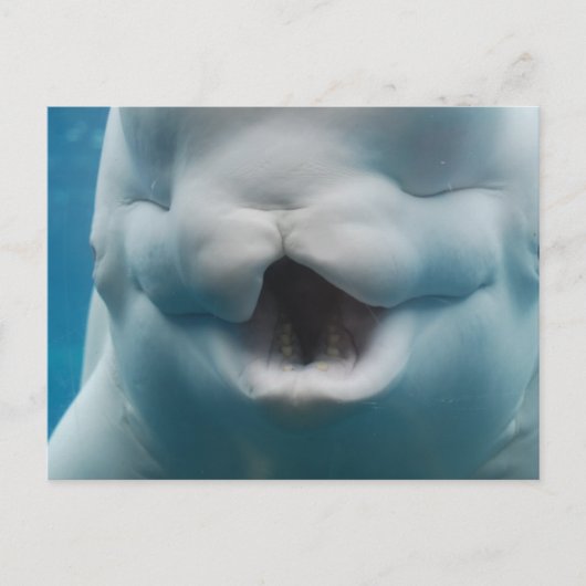 Produkt anpassen postkarte (Vorderseite)