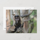 Produkt anpassen postkarte (Vorne/Hinten)