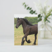 Produkt anpassen postkarte (Stehend Vorderseite)