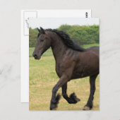 Produkt anpassen postkarte (Vorne/Hinten)