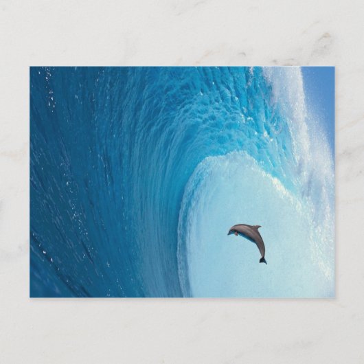 Produkt anpassen postkarte (Vorderseite)