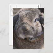 Produkt anpassen postkarte (Vorne/Hinten)