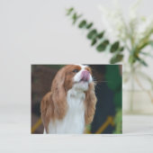Produkt anpassen postkarte (Stehend Vorderseite)