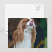 Produkt anpassen postkarte (Vorne/Hinten)
