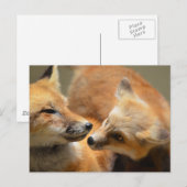 Produkt anpassen postkarte (Vorne/Hinten)