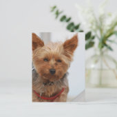 Produkt anpassen postkarte (Stehend Vorderseite)