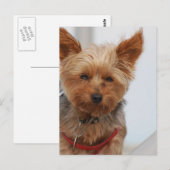 Produkt anpassen postkarte (Vorne/Hinten)