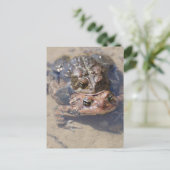 Produkt anpassen postkarte (Stehend Vorderseite)