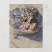 Produkt anpassen postkarte (Vorderseite)