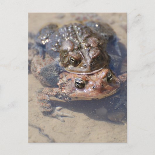 Produkt anpassen postkarte (Vorderseite)