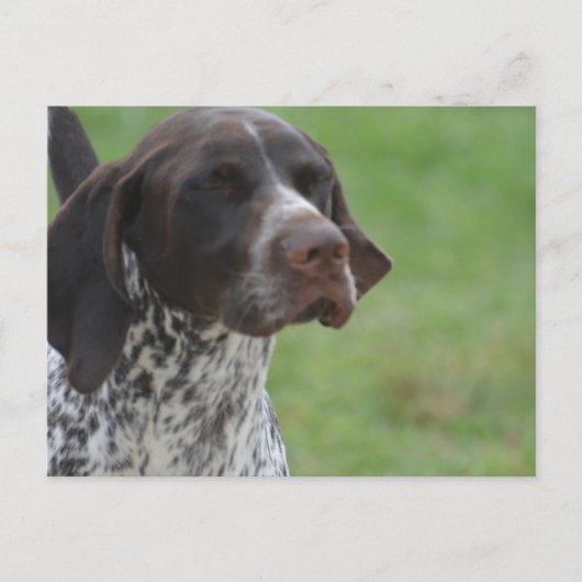 Produkt anpassen postkarte (Vorderseite)