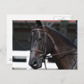 Produkt anpassen postkarte (Vorne/Hinten)