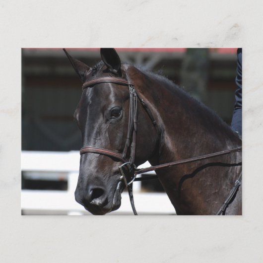 Produkt anpassen postkarte (Vorderseite)