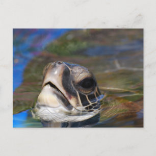 Produkt anpassen postkarte