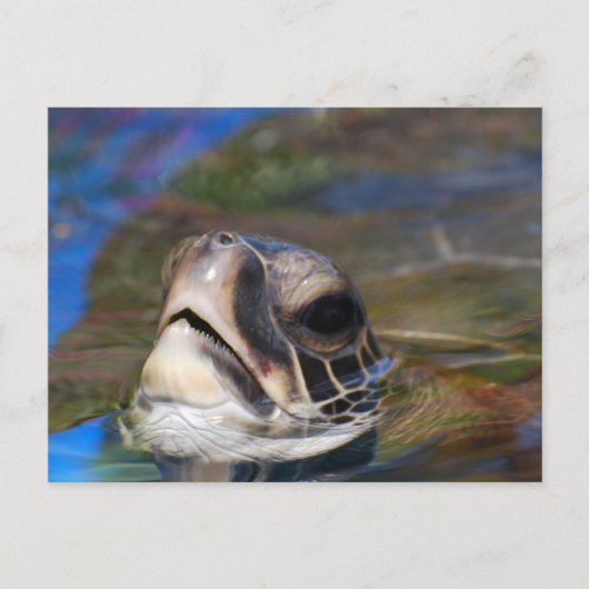 Produkt anpassen postkarte (Vorderseite)