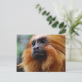 Produkt anpassen postkarte (Stehend Vorderseite)