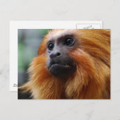 Produkt anpassen postkarte (Vorne/Hinten)