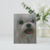 Produkt anpassen postkarte (Stehend Vorderseite)