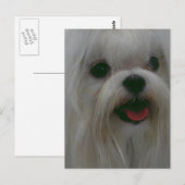 Produkt anpassen postkarte (Vorne/Hinten)