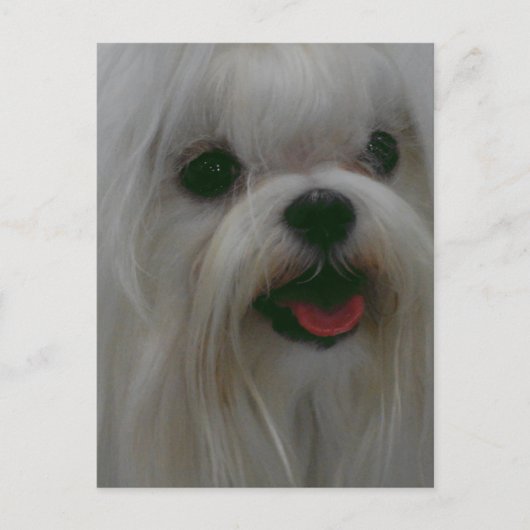 Produkt anpassen postkarte (Vorderseite)