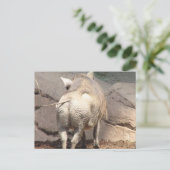 Produkt anpassen postkarte (Stehend Vorderseite)