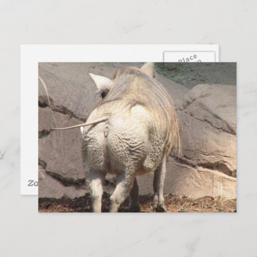 Produkt anpassen postkarte (Vorne/Hinten)