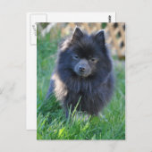 Produkt anpassen postkarte (Vorne/Hinten)