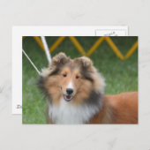 Produkt anpassen postkarte (Vorne/Hinten)