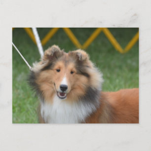 Produkt anpassen postkarte