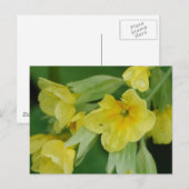 Produkt anpassen postkarte (Vorne/Hinten)
