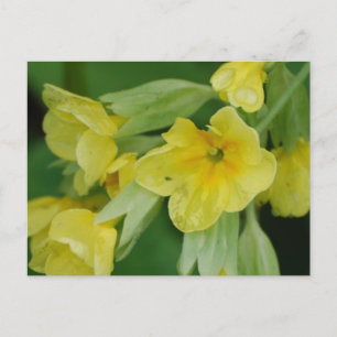 Produkt anpassen postkarte