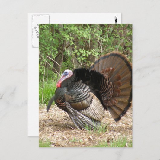 Produkt anpassen postkarte (Vorne/Hinten)