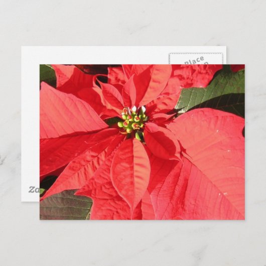 Produkt anpassen postkarte (Vorne/Hinten)