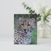 Produkt anpassen postkarte (Stehend Vorderseite)