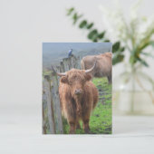 Produkt anpassen postkarte (Stehend Vorderseite)