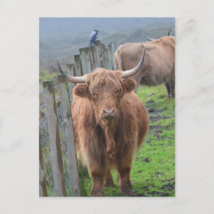 Produkt anpassen postkarte