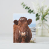 Produkt anpassen postkarte (Stehend Vorderseite)