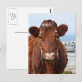 Produkt anpassen postkarte (Vorne/Hinten)