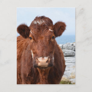 Produkt anpassen postkarte