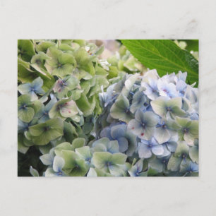 Produkt anpassen postkarte