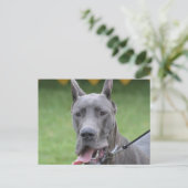 Produkt anpassen postkarte (Stehend Vorderseite)