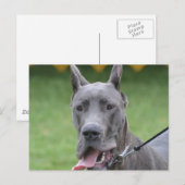 Produkt anpassen postkarte (Vorne/Hinten)