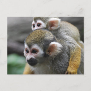 Produkt anpassen postkarte