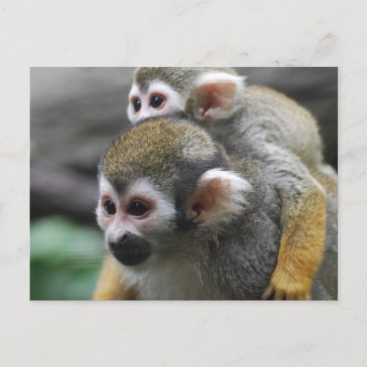 Produkt anpassen postkarte (Vorderseite)