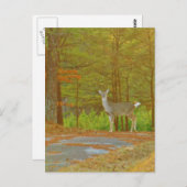 Produkt anpassen postkarte (Vorne/Hinten)