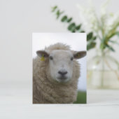 Produkt anpassen postkarte (Stehend Vorderseite)